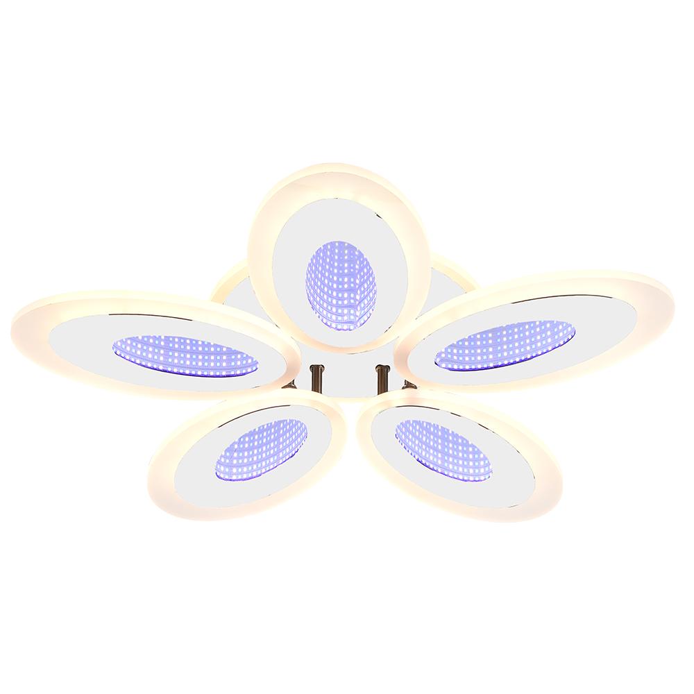 8091/5 WHT