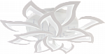 8845/8+4A WHT (МАРКЕТ)